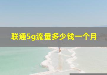 联通5g流量多少钱一个月