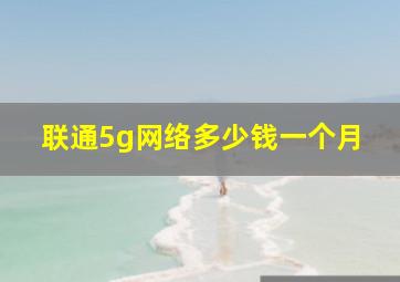 联通5g网络多少钱一个月