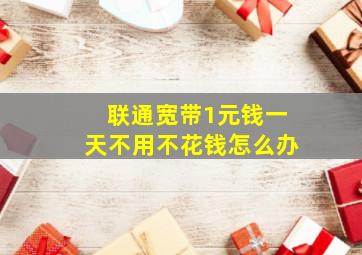 联通宽带1元钱一天不用不花钱怎么办