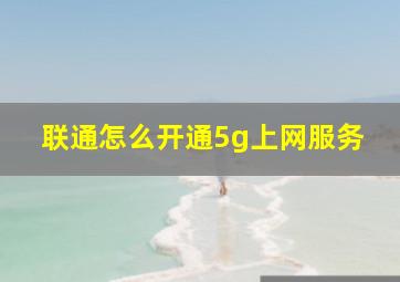 联通怎么开通5g上网服务