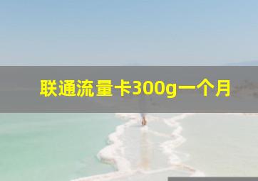 联通流量卡300g一个月