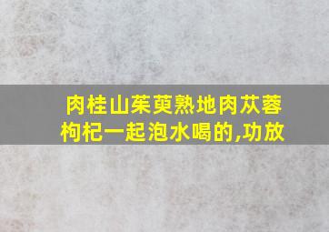 肉桂山茱萸熟地肉苁蓉枸杞一起泡水喝的,功放