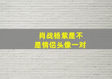 肖战杨紫是不是情侣头像一对