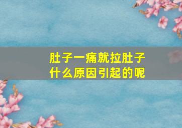 肚子一痛就拉肚子什么原因引起的呢