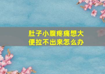 肚子小腹疼痛想大便拉不出来怎么办