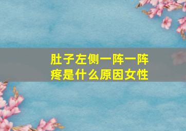 肚子左侧一阵一阵疼是什么原因女性