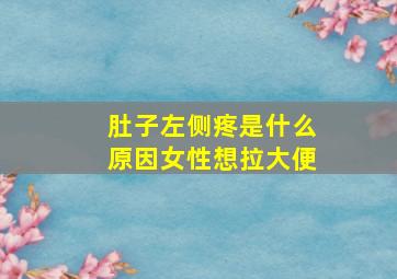 肚子左侧疼是什么原因女性想拉大便