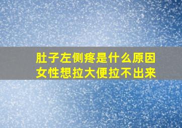 肚子左侧疼是什么原因女性想拉大便拉不出来