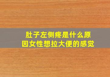 肚子左侧疼是什么原因女性想拉大便的感觉