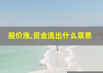 股价涨,资金流出什么意思