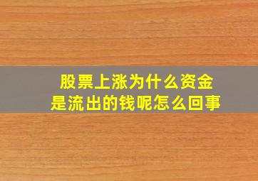 股票上涨为什么资金是流出的钱呢怎么回事