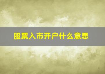 股票入市开户什么意思