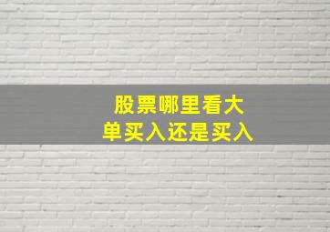 股票哪里看大单买入还是买入