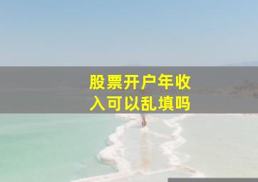 股票开户年收入可以乱填吗