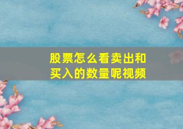 股票怎么看卖出和买入的数量呢视频