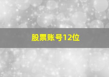 股票账号12位