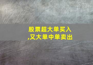 股票超大单买入,又大单中单卖出