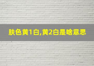 肤色黄1白,黄2白是啥意思