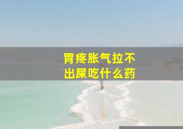 胃疼胀气拉不出屎吃什么药