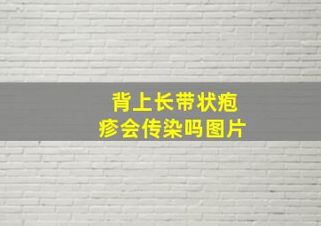 背上长带状疱疹会传染吗图片