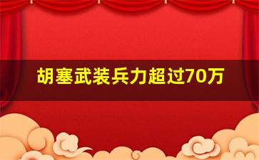 胡塞武装兵力超过70万