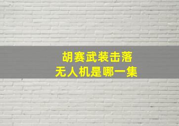 胡赛武装击落无人机是哪一集