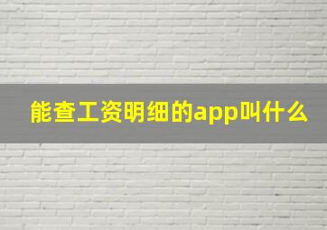 能查工资明细的app叫什么