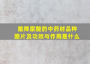 能降尿酸的中药材品种图片及功效与作用是什么