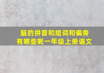 脑的拼音和组词和偏旁有哪些呢一年级上册语文