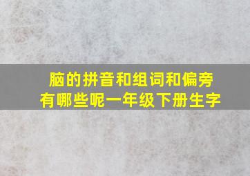 脑的拼音和组词和偏旁有哪些呢一年级下册生字