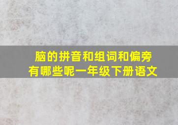 脑的拼音和组词和偏旁有哪些呢一年级下册语文