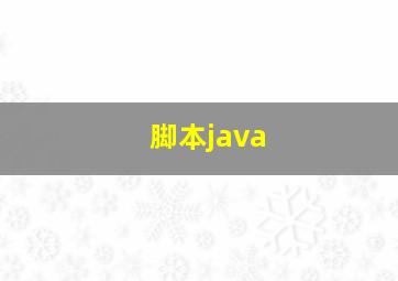 脚本java