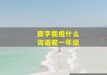 膜字能组什么词语呢一年级