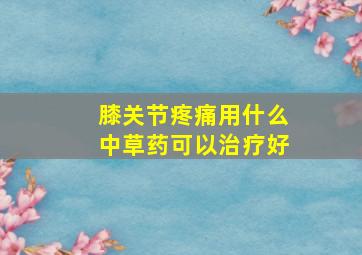 膝关节疼痛用什么中草药可以治疗好