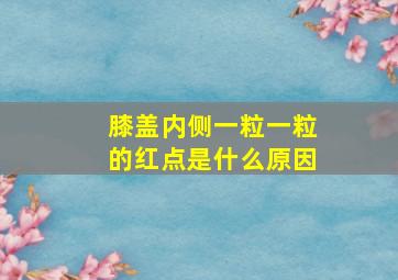 膝盖内侧一粒一粒的红点是什么原因