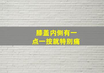 膝盖内侧有一点一按就特别痛