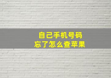 自己手机号码忘了怎么查苹果