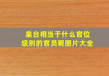 臬台相当于什么官位级别的官员呢图片大全