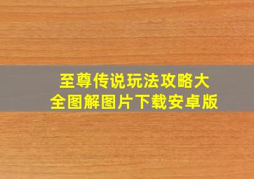 至尊传说玩法攻略大全图解图片下载安卓版