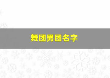 舞团男团名字