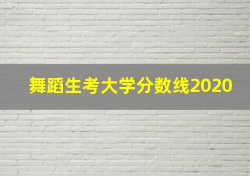 舞蹈生考大学分数线2020