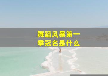 舞蹈风暴第一季冠名是什么