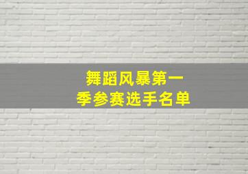 舞蹈风暴第一季参赛选手名单