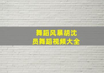 舞蹈风暴胡沈员舞蹈视频大全