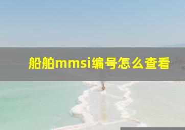 船舶mmsi编号怎么查看