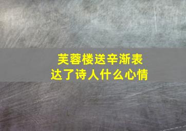 芙蓉楼送辛渐表达了诗人什么心情