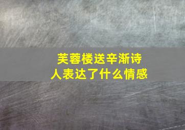 芙蓉楼送辛渐诗人表达了什么情感