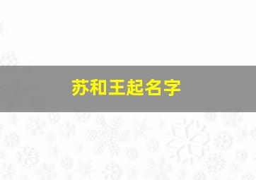 苏和王起名字