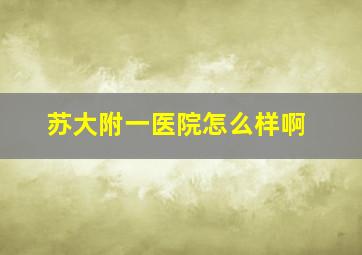 苏大附一医院怎么样啊