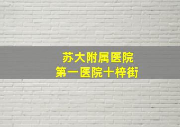 苏大附属医院第一医院十梓街